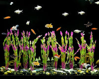 MyLifeUNIT Artificial Seaweed Water Plants for Aquarium, Plastic Fish Tank Plant Decorations 10 PCS (Wine Red)