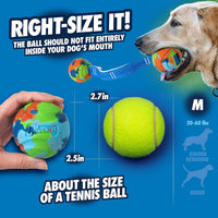 Chuckit! Limited Edition EcoFetch Ball Dog Toy, Medium Pack of 3 - EcoFetch - image 2