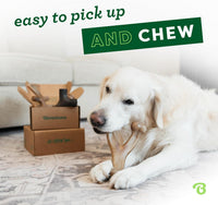 Benebone Medium 4-Pack Dog Toys for Aggressive Chewers - Medium / 4 Pack - image 2