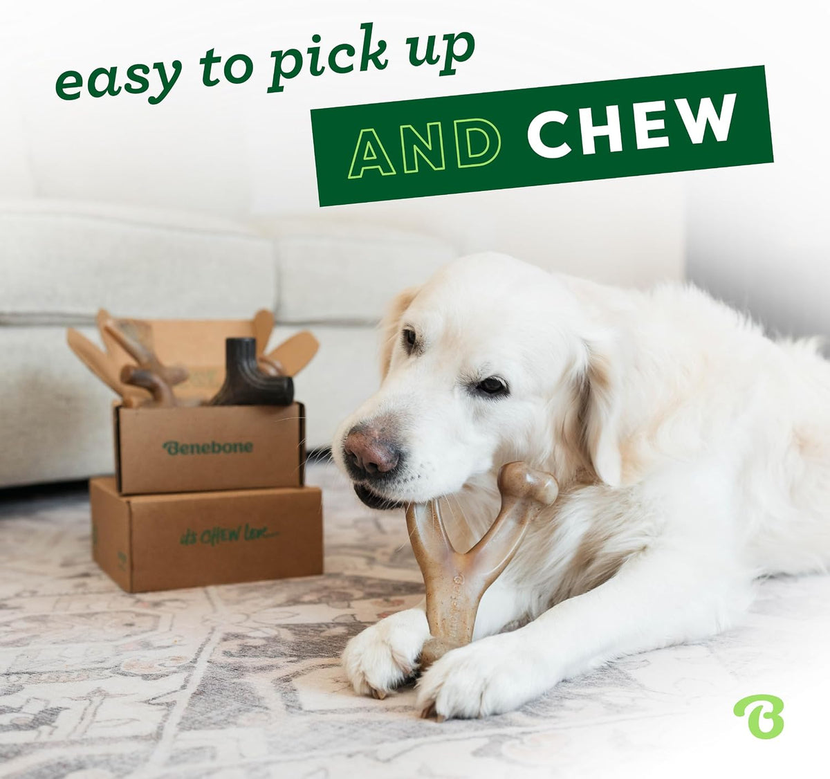 Benebone Medium 4-Pack Dog Toys for Aggressive Chewers - Medium / 4 Pack - image 2