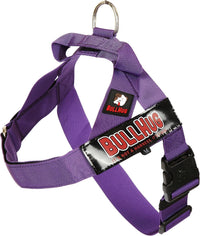 Adjustable Dog Harness, No Pull, No Choke, for English Bulldogs - VIOLET / Large - (Neck: 19" - 23" Chest: 29" - 33")