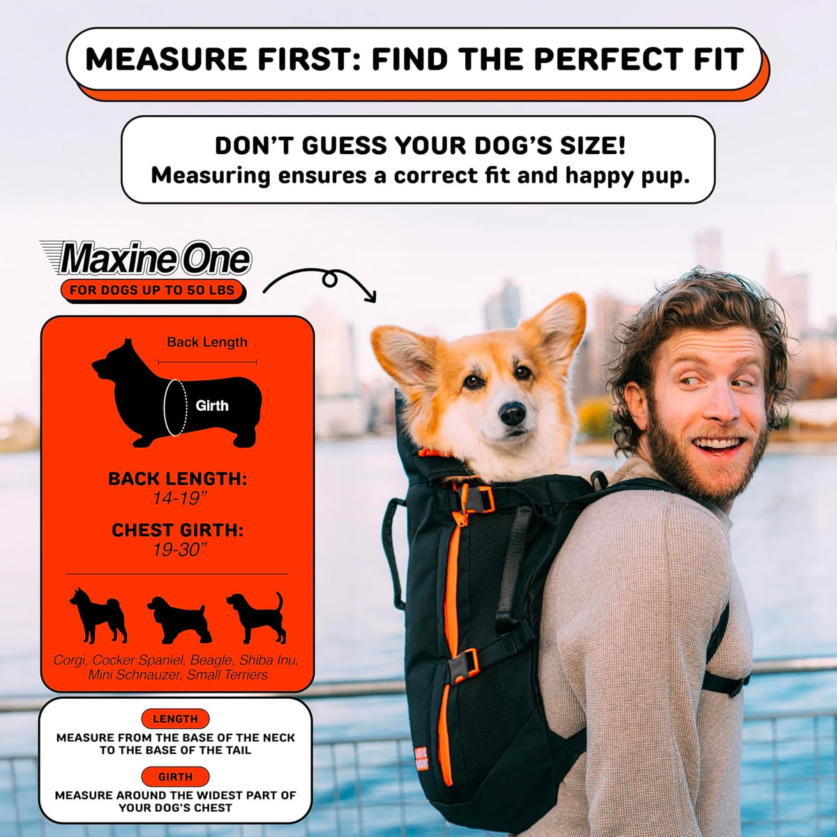 Maxine One Dog Backpack Carrier for Medium Dogs – Essentials for Dogs - Black - image 3