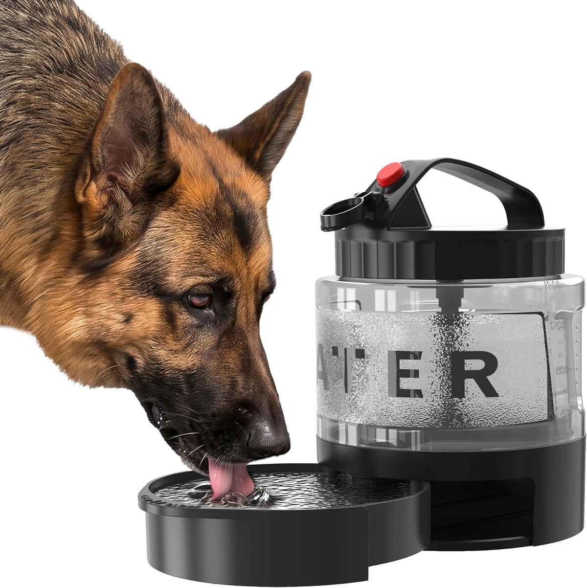 Portable Dog Water Bottle with Bowl, Large 77 oz/2.2 L, Black – Essentials for Dogs - 56oz-Black