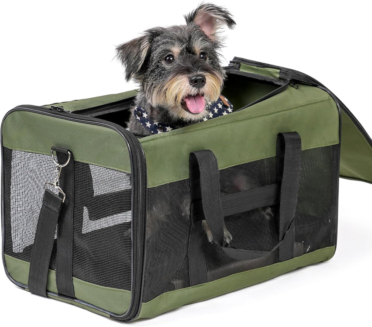 Conlun Cat Carrier Soft-Sided Pets Travel Carriers up to 15 Lbs - Green / 19.6"L x 12.6"W x 2.5"H