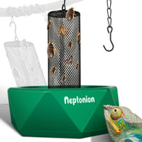 Hookable chameleon feeding bowl with mesh, hanging chain and tongs