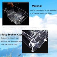 capetsma Fish Breeding Box - S - image 4