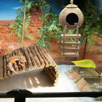 Leopard Gecko Coconut Hut with Ladder - 【Style E】 - image 2