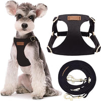 Puppytie No Pull Small Dog Harness with Multifunction Dog Leash,Lightweight Soft Adjustable No Choke Escape Proof Pet Harness Vest Pet Harness Vest,Black,S
