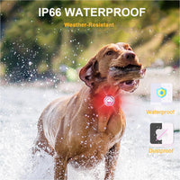 2-Pack Dog Lights for Night Walking - 3 - image 2