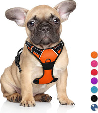 BARKBAY No Pull Dog Harness Large Step in Reflective Dog Harness with Front Clip and Easy Control Handle for Walking Training Running(Orange,S)