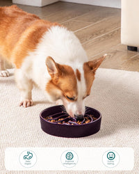 vancasso Slow Feeder Dog Bowl - Dark Purple / 1.5 Cups - image 2