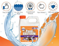 Pondworx Pond Bacteria - Concentrated & Formulated for Large Ponds, Water Features - Safe for Koi - 32ounes & Treats up to a Quarter Acre Pond