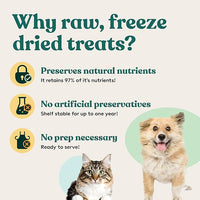Little Hunter Freeze-Dried Raw Quail Egg Yolk for Dog & Cat Treats | Single-Ingredient High Protein, High Omega-3, Grain & Gluten-Free Training Reward | All Natural, Healthy Pet Treats, 4.2 oz