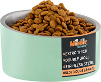 Master Pet Supply Stainless Steel Slanted Dog Cat Food Bowl 24 oz - Pistachio / 3 Cups (24 oz)