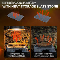 REPTI ZOO Large Bearded Dragon Basking Platform - image 4