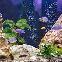Moonorange Reptile Artificial Plants - M Set-g-2 - image 3