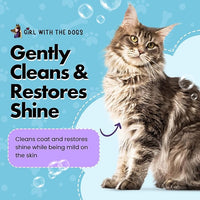 Pure Fur! Sensitive Skin Pet Shampoo, 1 Gallon
