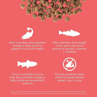 Go! Solutions Carnivore, Grain-Free, Protein Rich Dry Cat Food, Salmon and Cod Recipe, 8 lb Bag
