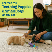 Cool Teething Stick Dental Dog Chew Toy, Soak & Freeze, 8.5" – Essentials for Dogs - Teething Stick - image 2
