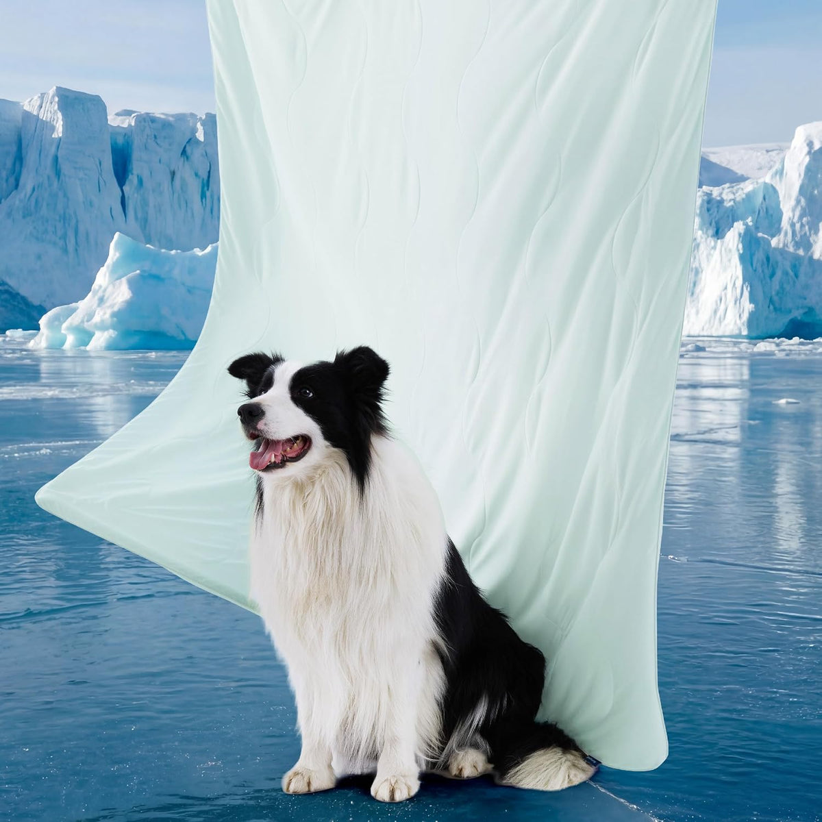 Bedsure Breathable Lightweight Cooling Blanket for Small Dogs - Twin(60x80") / Pale Jade