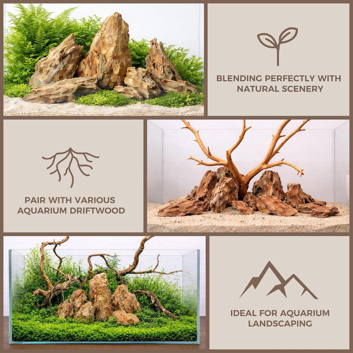 6.1-8.1 Inches Natural Dragon Stone, Terrariums - 2.2-4.1 in - image 4