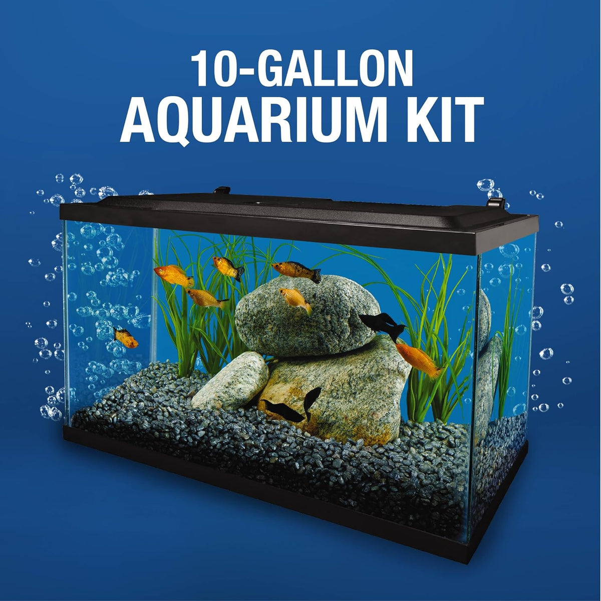 Tetra LED 10 Gallon Complete Fish Tank Kit – Essentials for Fish - 10 Gallons - image 4