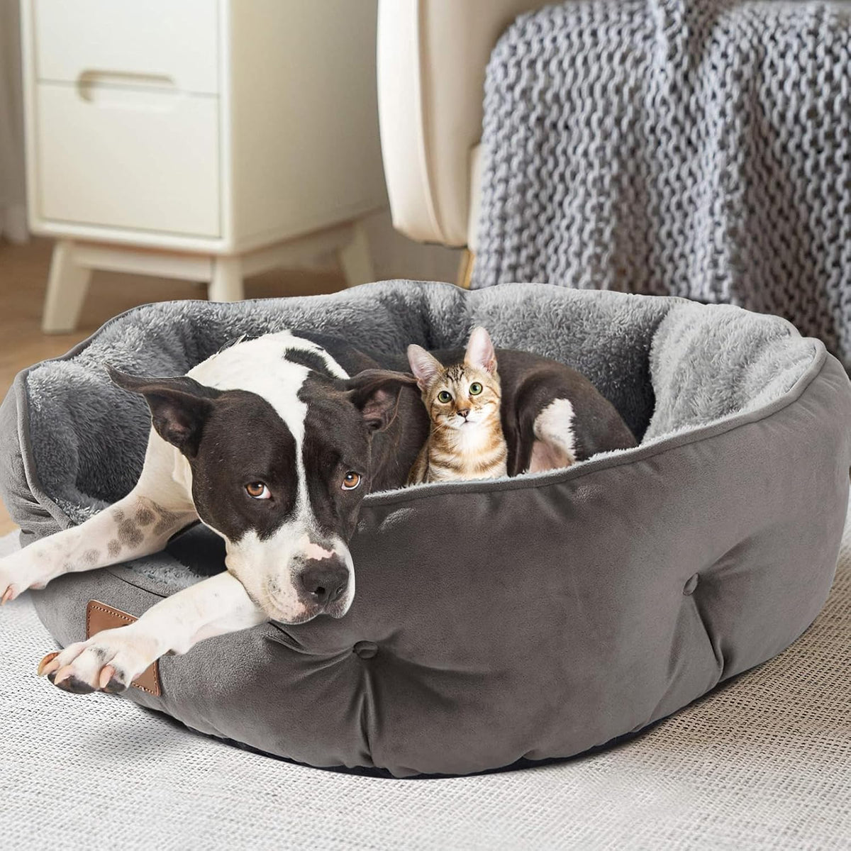 Small Dog Bed for Small Dogs, Cat Beds for Indoor Cats - Large (Pack of 1) / Grey - image 2