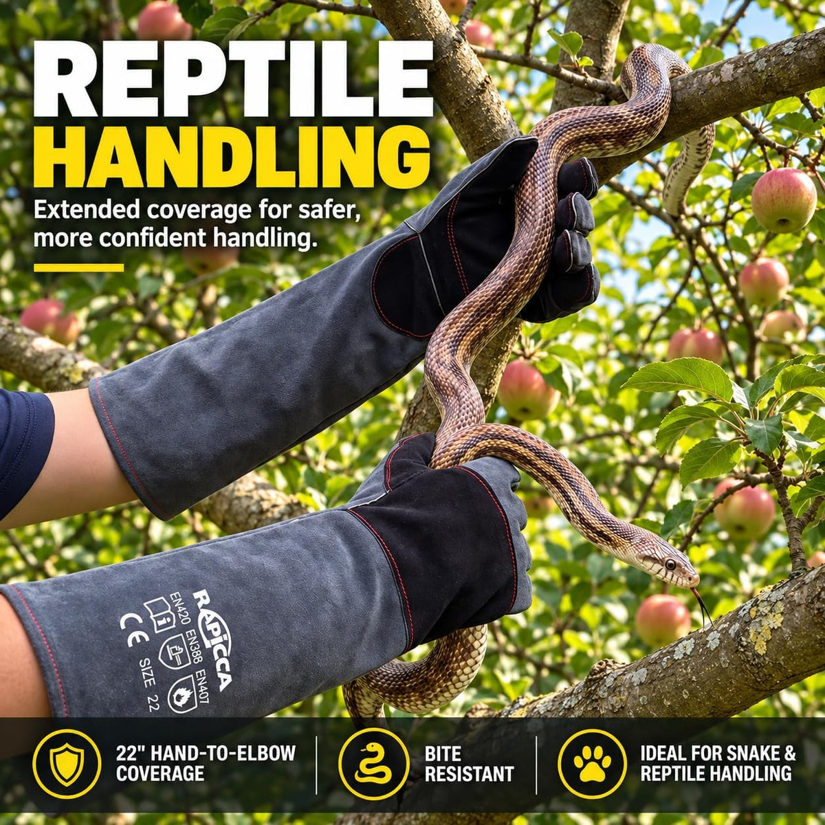 RAPICCA Animal Handling Gloves, Bite Proof Double Leather - 2 Count (Pack of 1) / 22 Inches - image 2