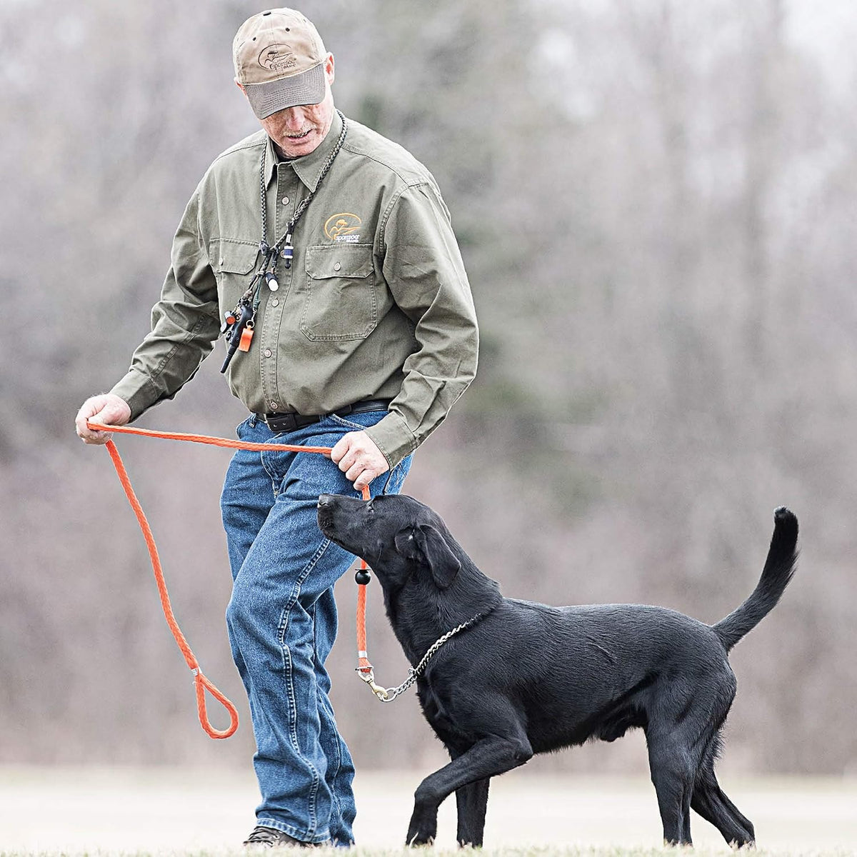 SportDOG Roy Gonia Special Whistle, Orange Without Pea - No Pea (Pack of 12) - image 3