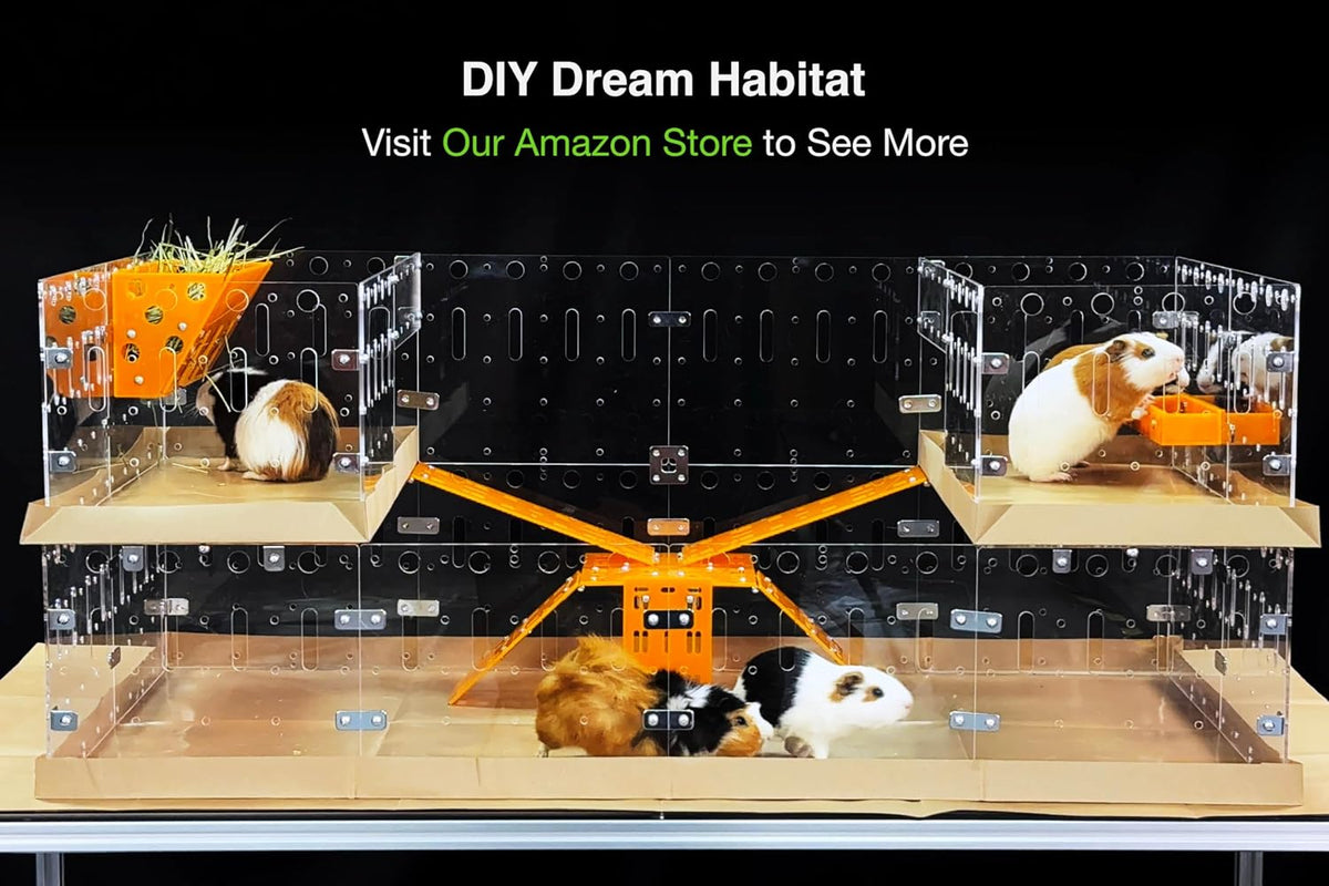 GuineaLoft Model-A Acrylic Guinea Pig Cage - Model-A - image 2