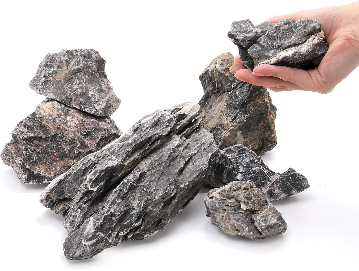 Eorbow 12lb Seiryu Stone, Aquarium Rocks for Terrariums - image 2