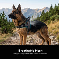 Didog No Pull Dog Harness for Large Dogs, Breathable Mesh Padded - Black / L: Chest 27-33", Fit 50-80 lbs - image 2