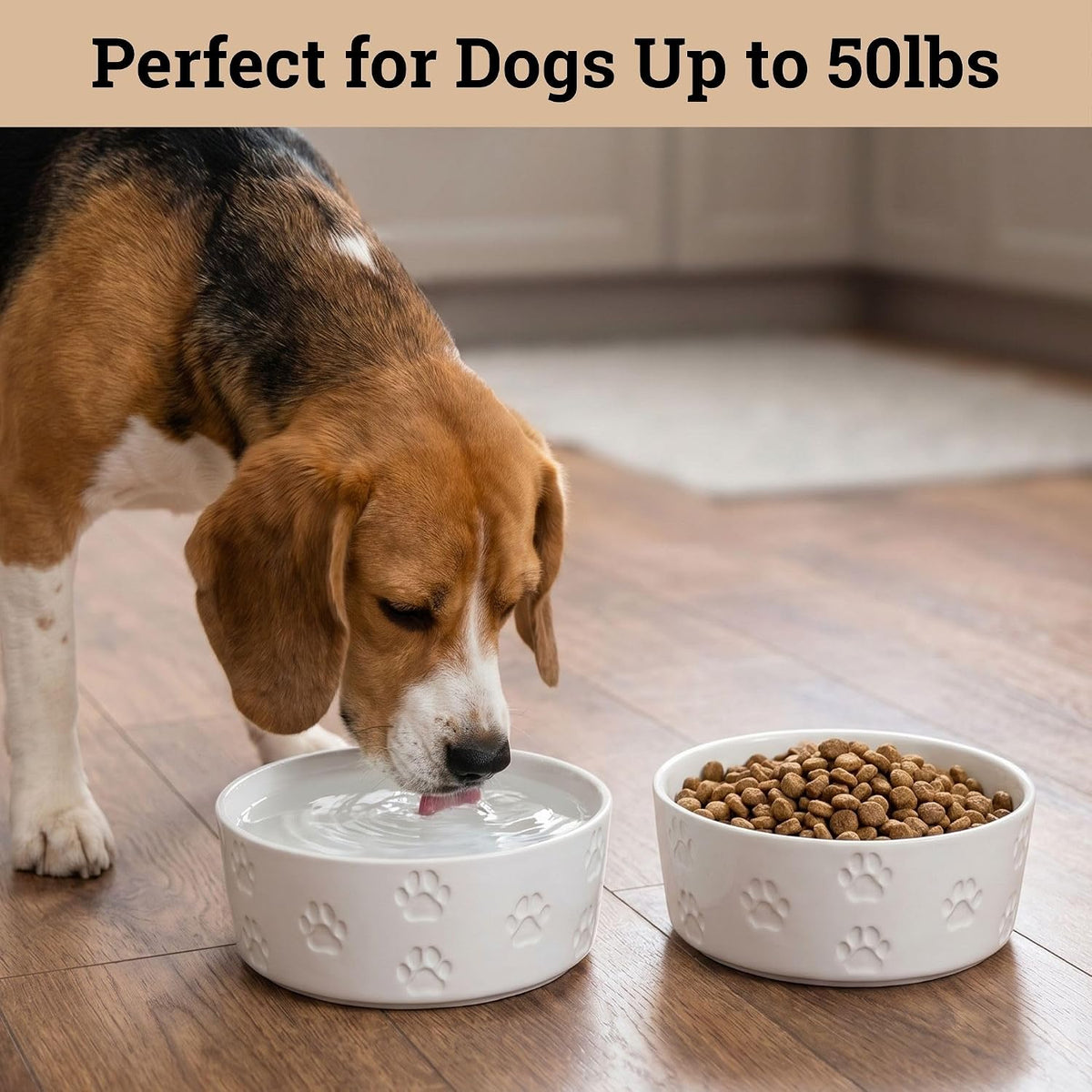Ceramic Dog Bowl Set of 2 with Anti-Skid Base, 5.5"W x 2"H - Medium / White - image 3