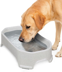 Neater Pet Brands Extra Large Water Bowl for Dogs - 1.25 Gallons / Vanilla Bean