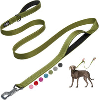 Fida Heavy Duty Dog Leash for Medium Large Dogs - 6 Feet (Pack of 1) / Green
