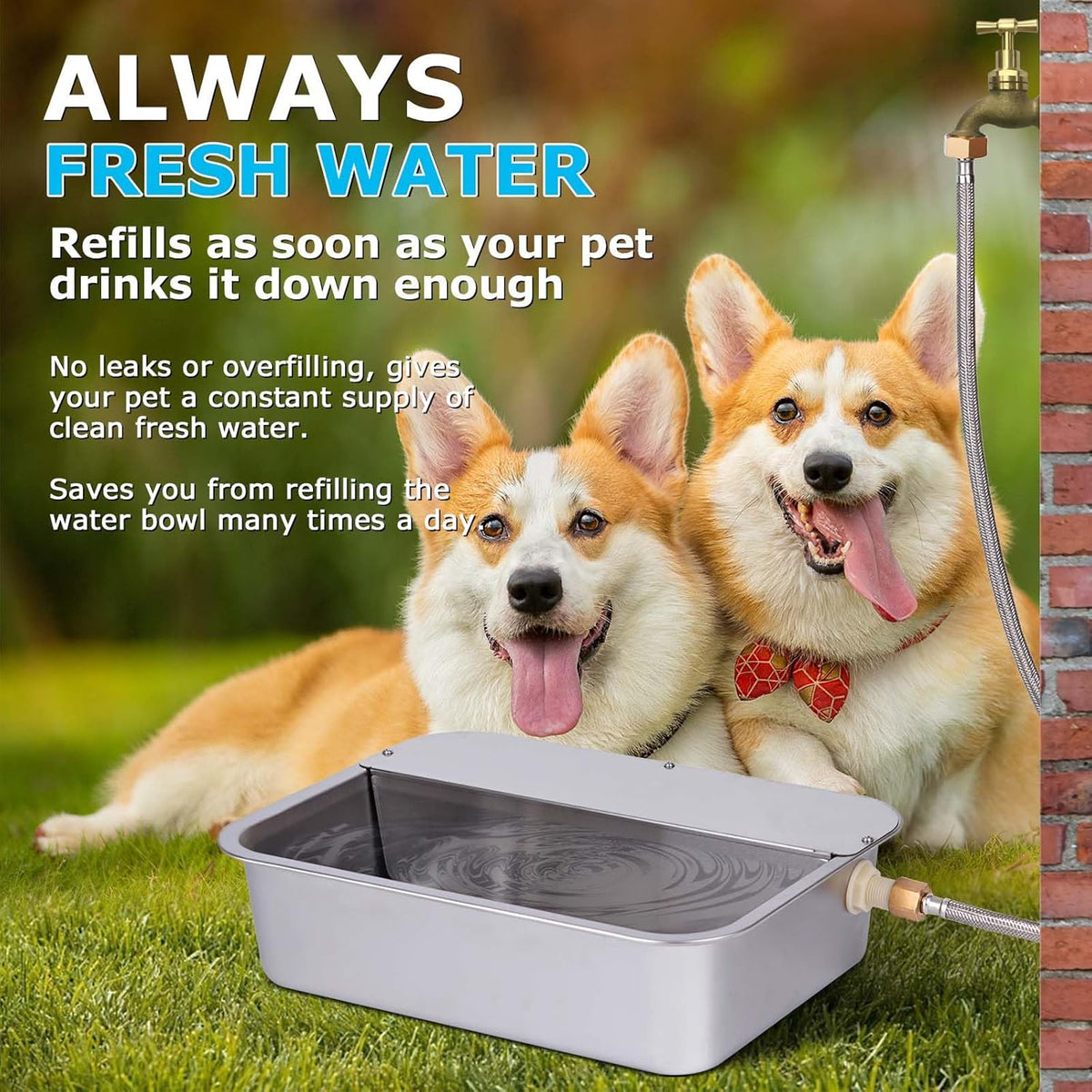 3 gallon automatic dog water bowl dispenser, stainless steel, outdoor - view 3