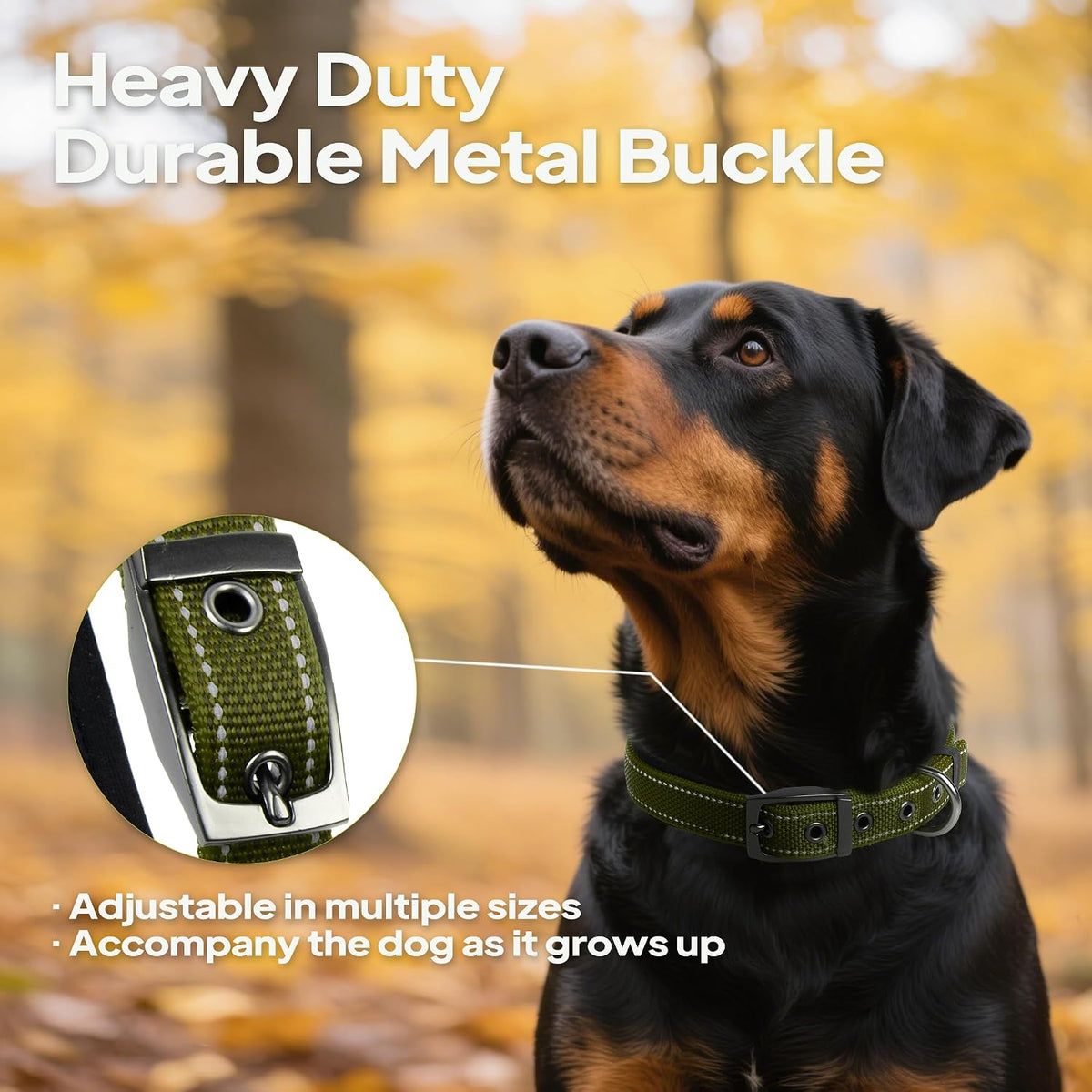 PetiFine Dog Collars for Medium Dogs - Green / Small (11"-14.5") - image 3