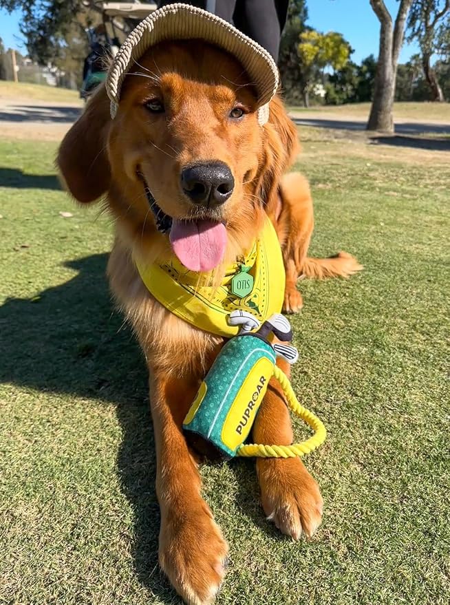 Golf Dog Toy – Birthday Dog Toy, Funny Plush Squeaky Puppy Gift with Rope & Crinkle, Golf Bag Gift