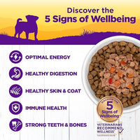 Wellness Petite Entrees Mini Fillets Grain Free Natural Wet Small Breed Dog Food, Roasted Beef, Carrots & Red Peppers, 3-Ounce Cup (Pack of 24)