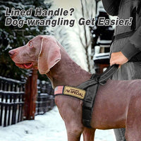 Forestpaw No Pull Dog Harness - Soft Flannel Padded Tactical Dog Vest Harness with Quick Release Buckle, Adjustable Reflective Pet Harness for Large Dogs Walking Training,Black XL