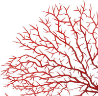 Piutouyar 2 Pcs Sea Fan Coral Decorations - Red - image 3