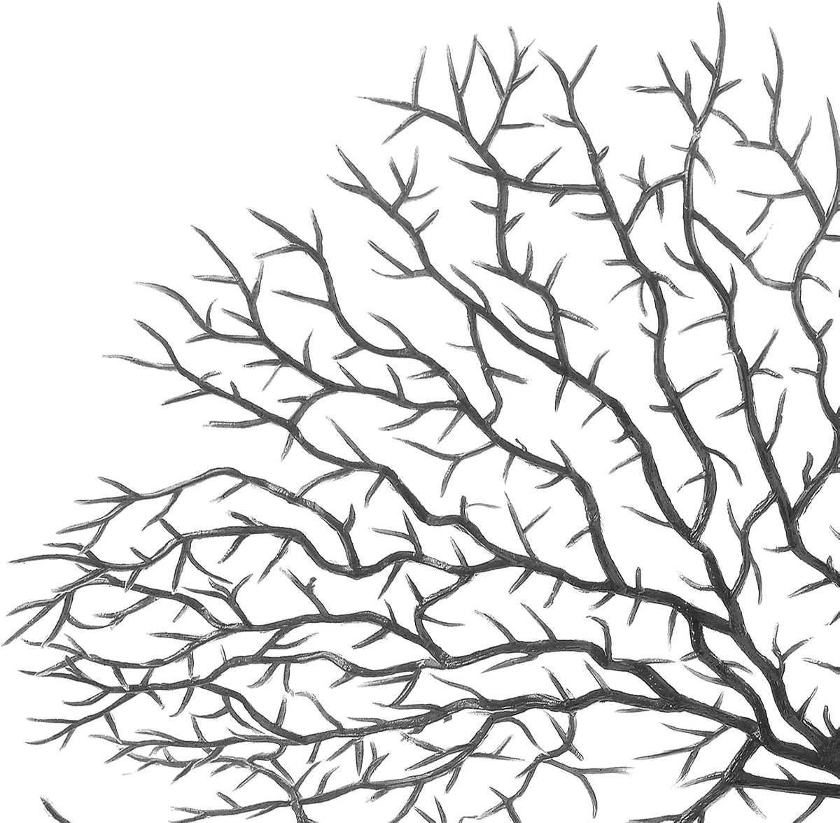 Piutouyar 2 Pcs Sea Fan Coral Decorations - Black - image 4
