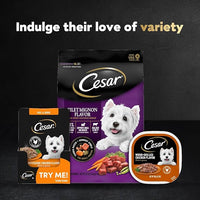 Cesar Filets in Gravy Wet Dog Food Filet Mignon Flavor, Rotisserie Chicken Flavor, and Wood-Grilled Chicken Flavor Variety Pack, 1.76 oz. Mini-Pouches (40 Count, Pack of 1)