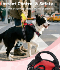 Joytale No Pull Dog Harness Medium Sized Dog, Front Clip - Small / Red - image 3