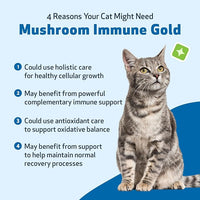 Pet Wellbeing Mushroom Immune Gold for Cats - Holistic Immune Support with Reishi, Maitake, Turkey Tail, and Milk Thistle - Veterinarian-Formulated Functional Mushroom Supplement 8 oz (237 ml)