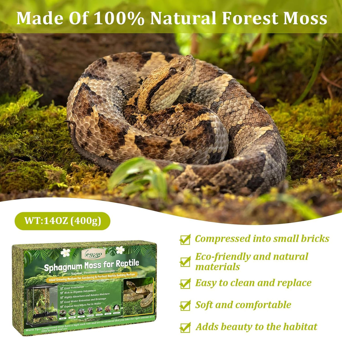 14OZ Natural Sphagnum Moss for Reptile Terrarium Substrate Bedding – Daily Care for Reptiles And Amphibians - 14 OZ - image 3