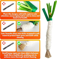 Catnip 6PCS Chew Stick with Wrapped Cotton Rope – Natural Dental Care Cat Toy for Teeth Cleaning & Gum Health, Satisfies Chewing Instincts, Safe & Long-Lasting Kitten Teething Toy