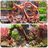 WDEFUN 3 PCS Natural Driftwood for Aquarium Decor Fish Tank - Spiderwood （4-8 inch pack of 5） - image 2