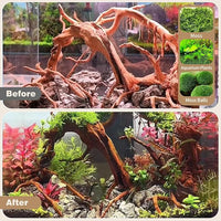 WDEFUN Natural Spiderwood for Aquarium Decor 7-Piece 4''-8'' Long Natural Driftwood Branches for Fish Tank Decorations