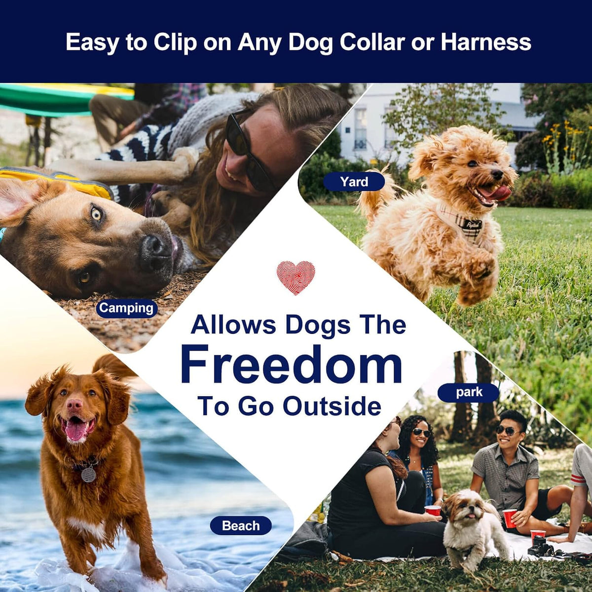 Tie Out Cable for Dogs Up to 300lbs - 120 ft / Black - image 2